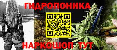 PSILOCYBIN Можга