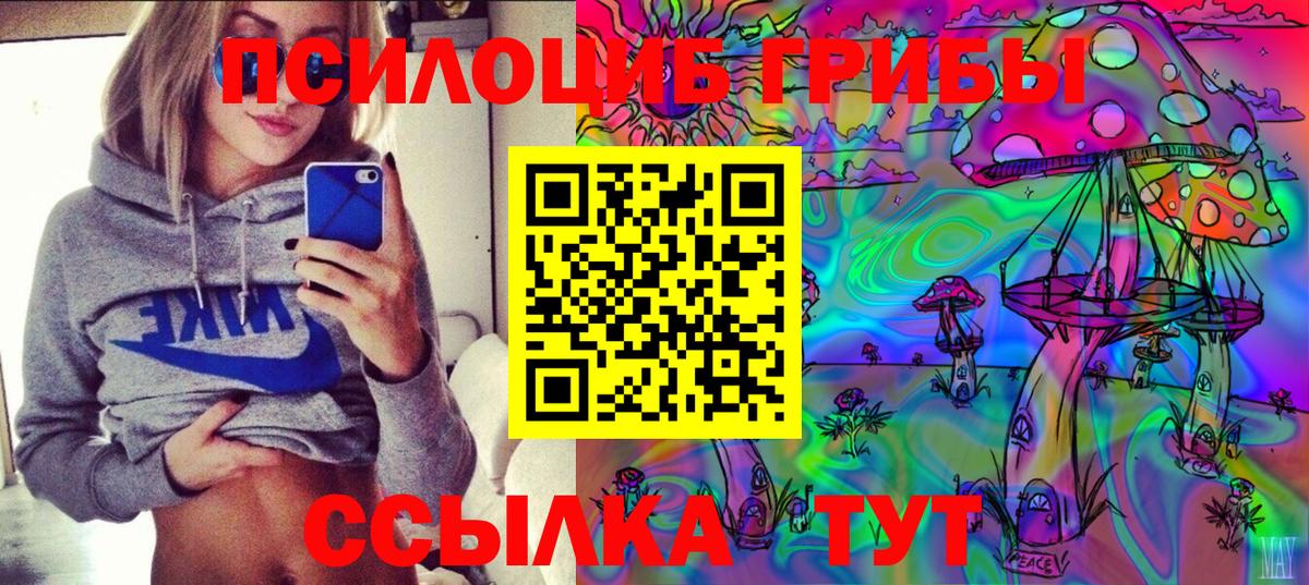 Галлюциногенные грибы Psilocybine cubensis Удомля